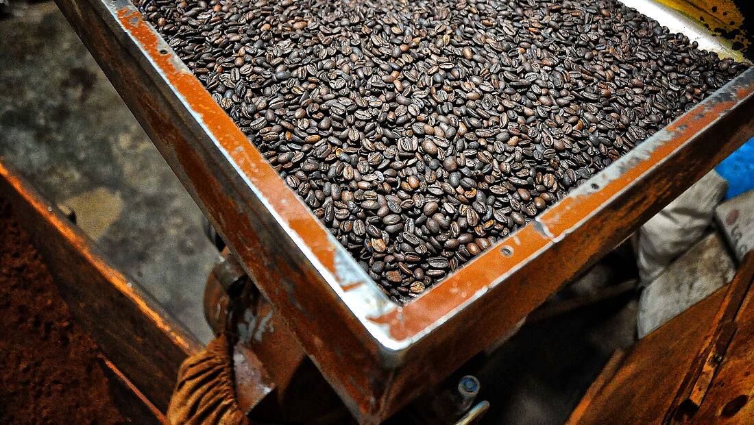 Éthiopie · Hararghe — région d'origine du café Moka Harrar