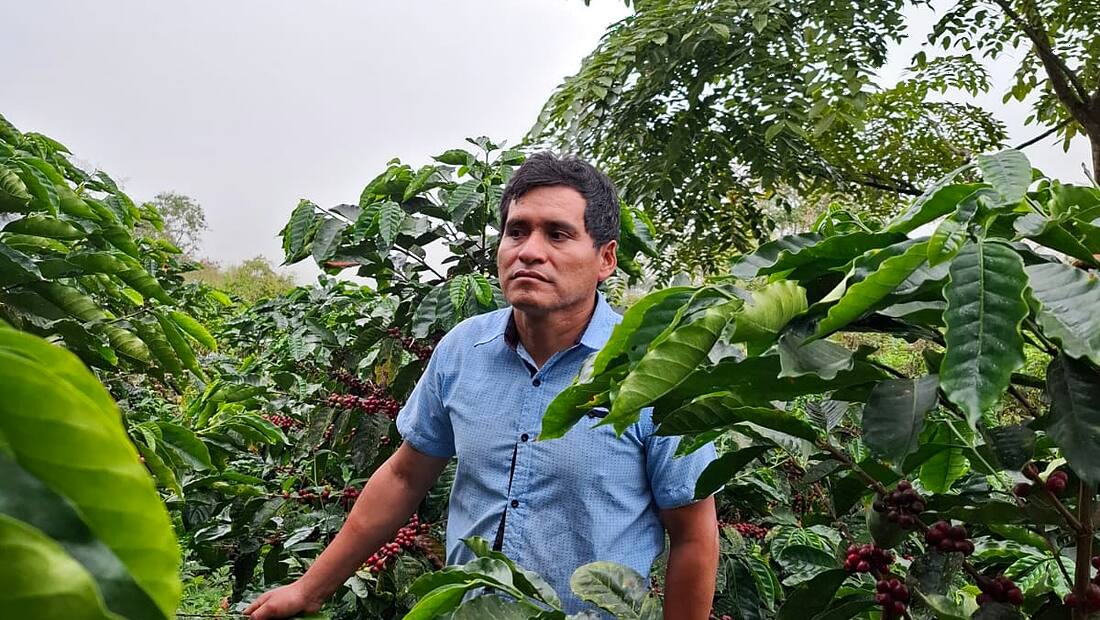Pérou · Cajamarca — région d'origine du café Pérou