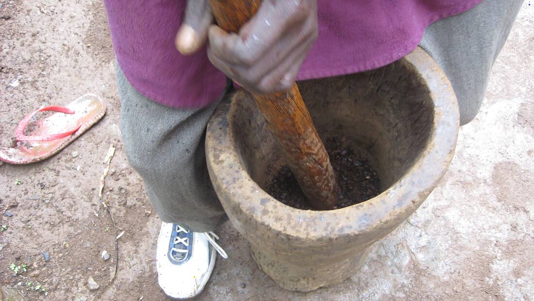 Tanzanie · Kilimandjaro — région d'origine du café Tanzanie